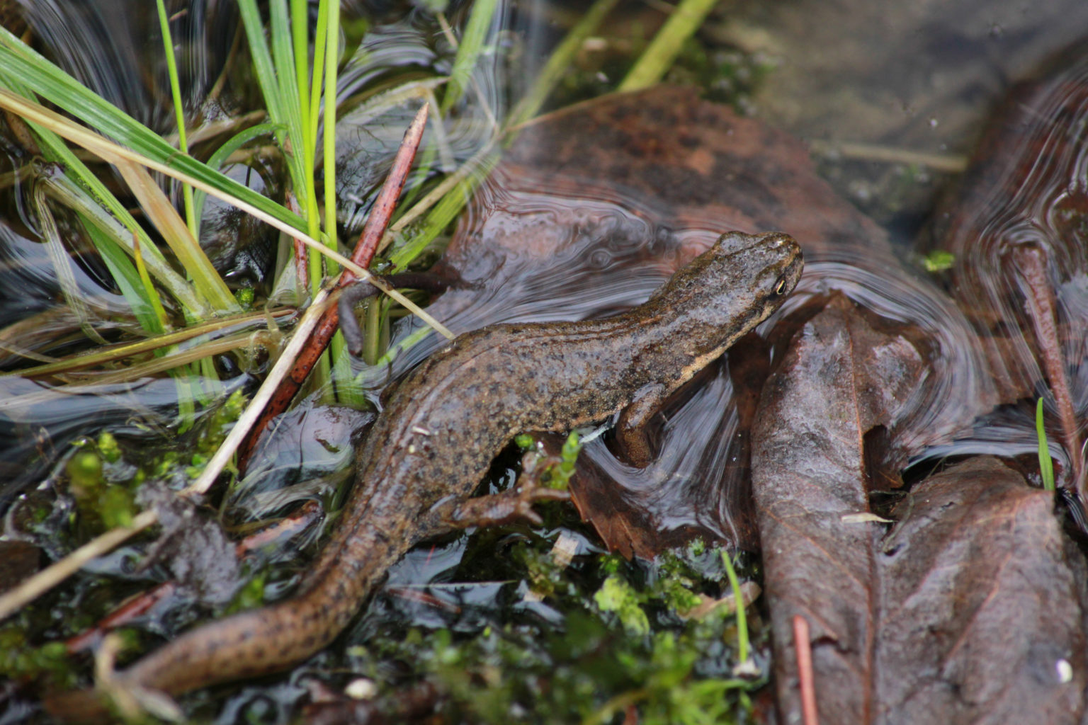 Valokuvaaja: Tuija Lahti