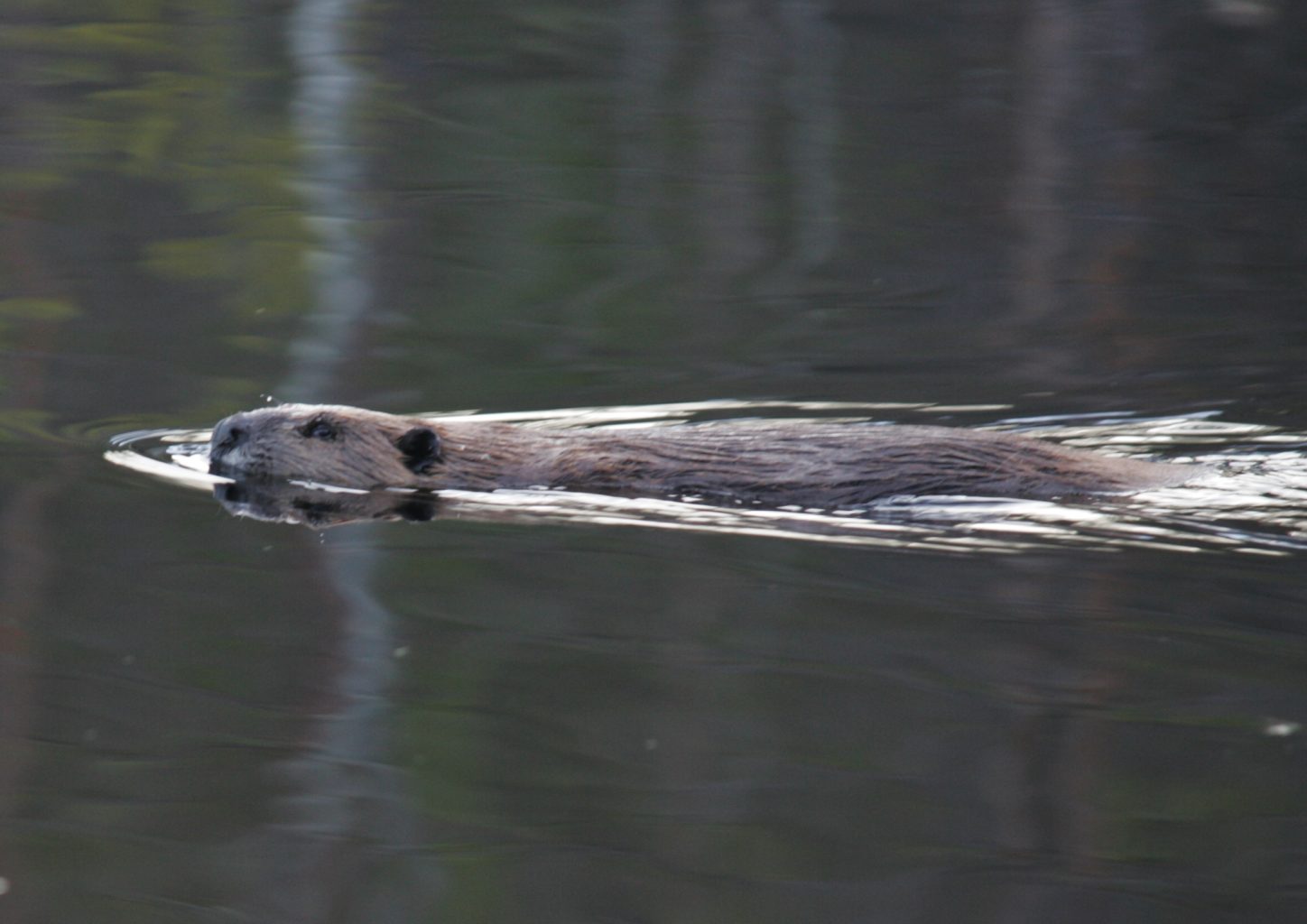 Valokuvaaja: tuija liunala