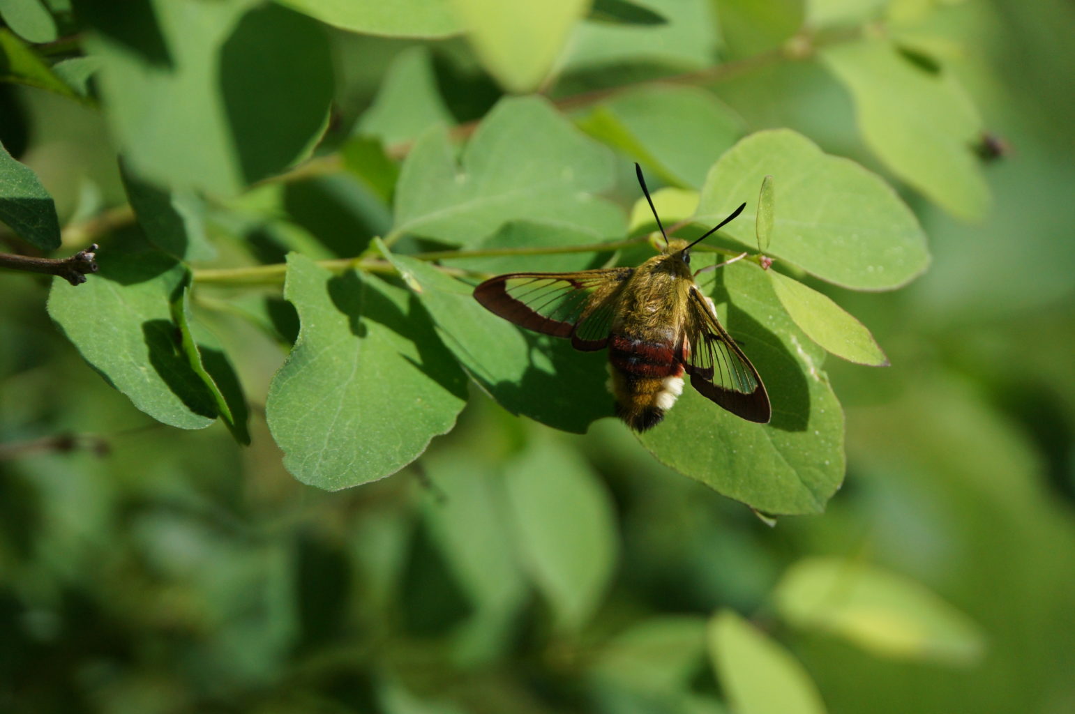 Valokuvaaja: Jenna Viinanen