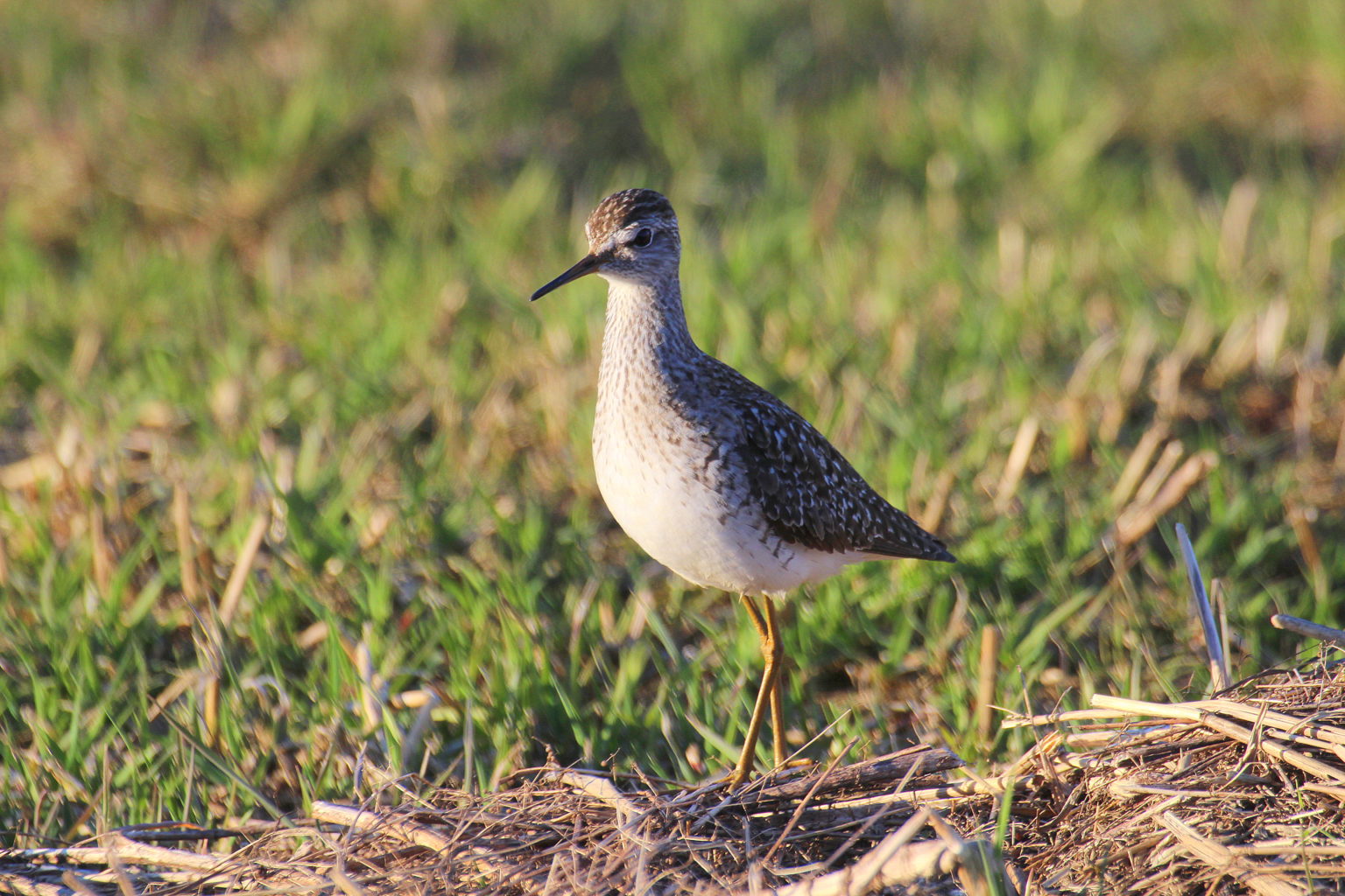 Valokuvaaja: Sirpa Jyske