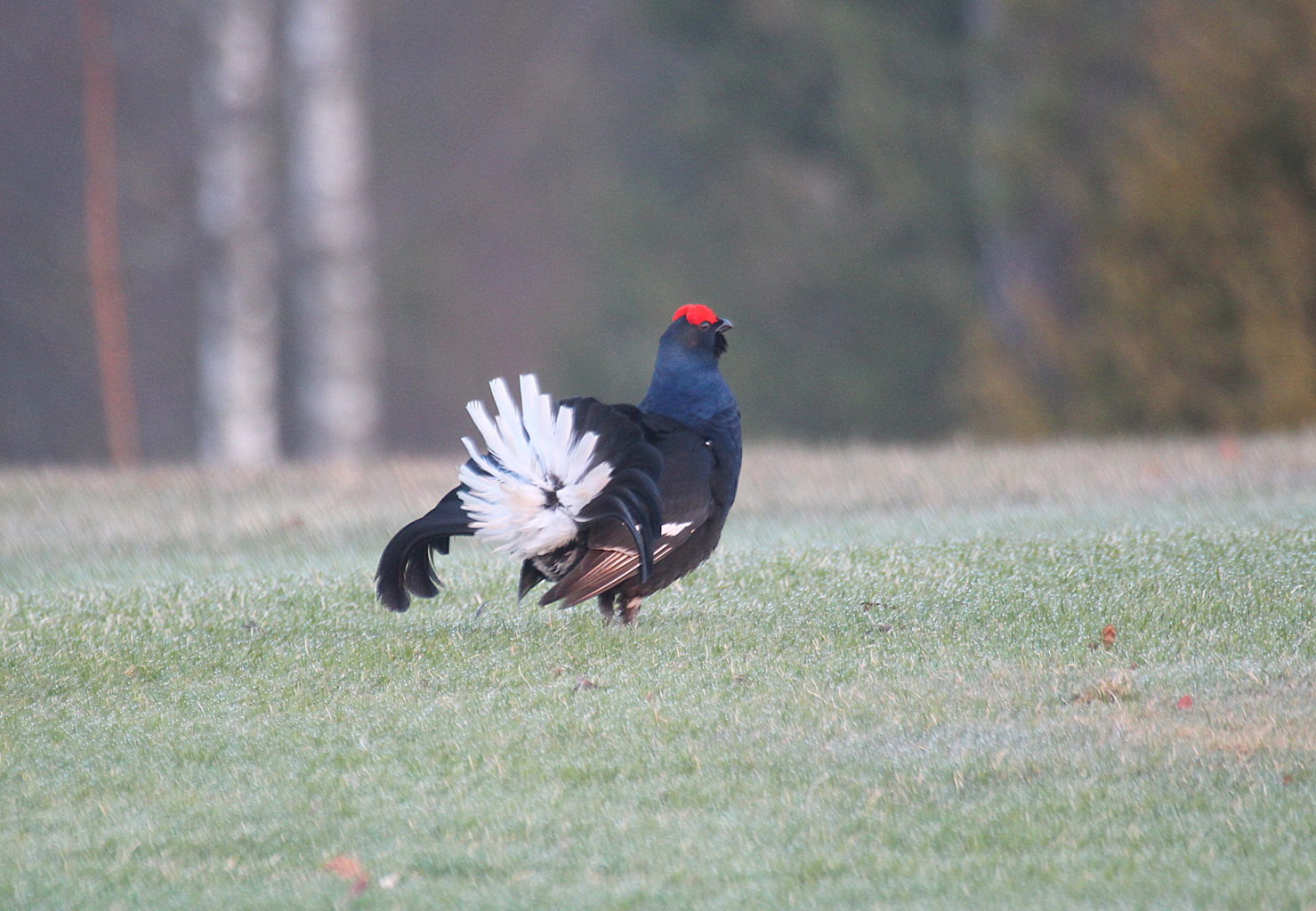 Valokuvaaja: Sirpa Jyske