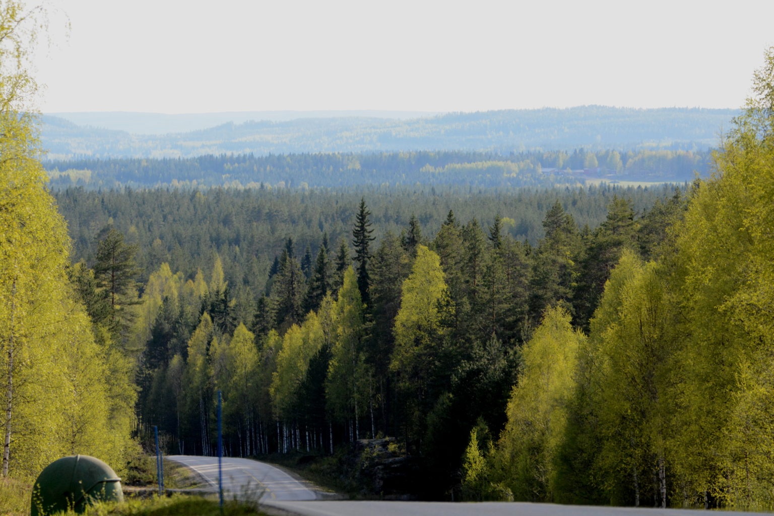 Valokuvaaja: MIKKO T.  SAVOLAINEN