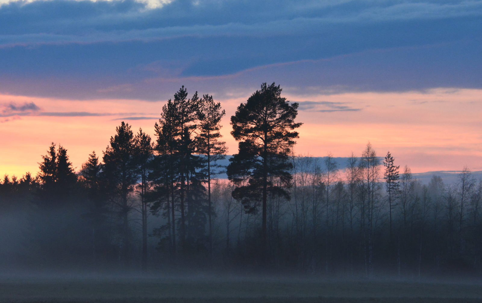 Valokuvaaja: MIKKO T.  SAVOLAINEN