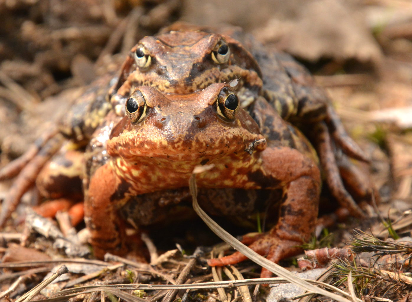 Valokuvaaja: MIKKO T.  SAVOLAINEN