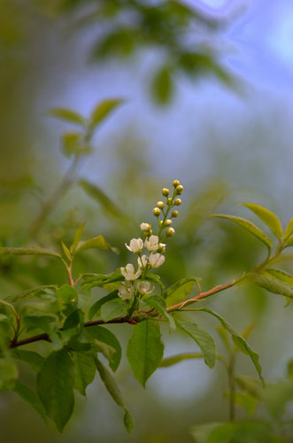 Valokuvaaja: Eija Varjola
