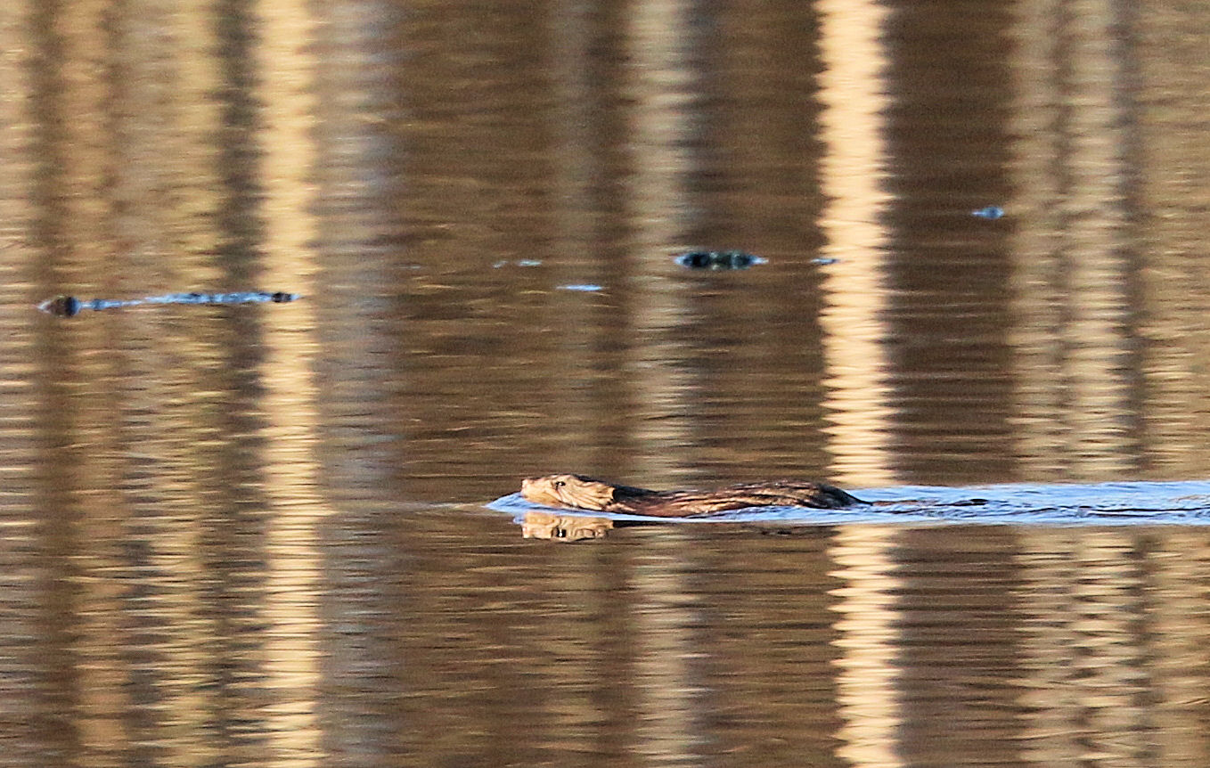 Valokuvaaja: Ahti Keränen