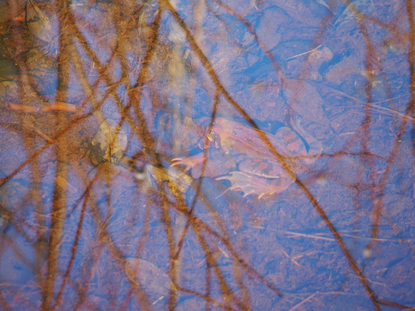 Valokuvaaja: Tuija Liunala