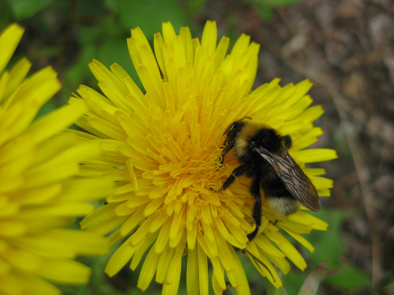 Valokuvaaja: yrjo lukkari