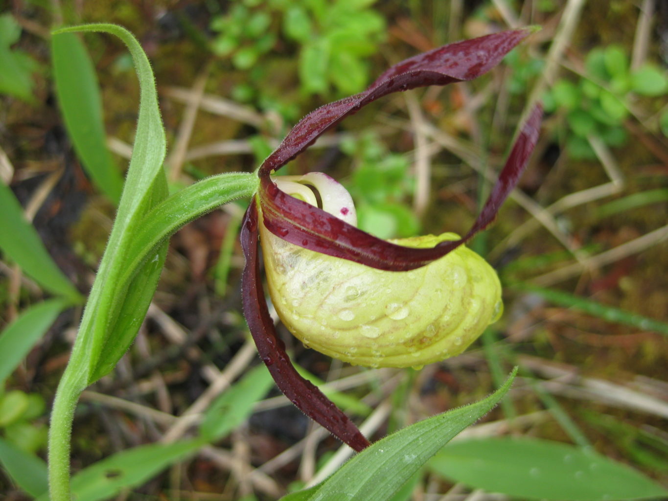 Valokuvaaja: yrjo lukkari