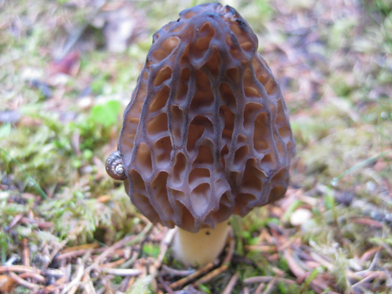 Valokuvaaja: yrjo lukkari Valokuvaaja: yrjo lukkari