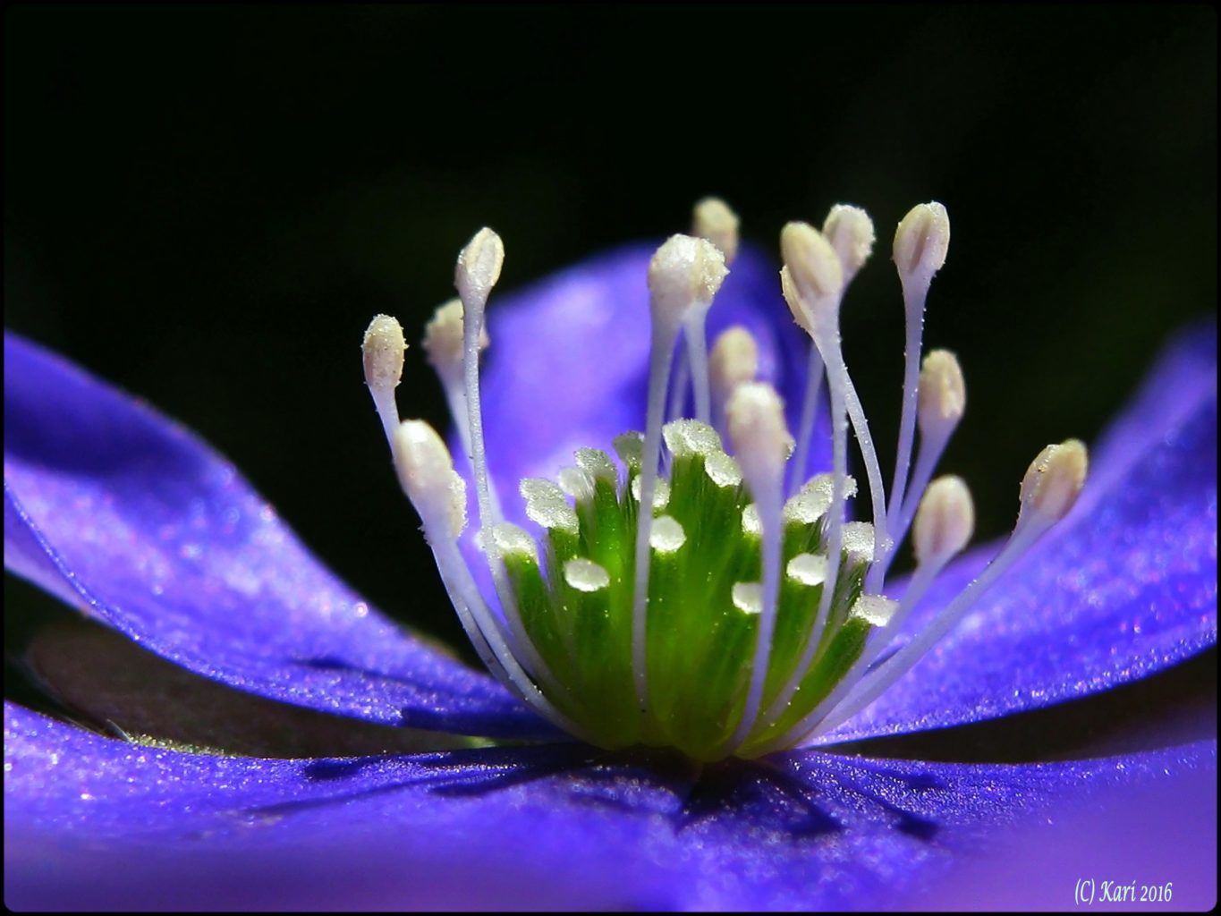 Valokuvaaja: Kari Saarinen