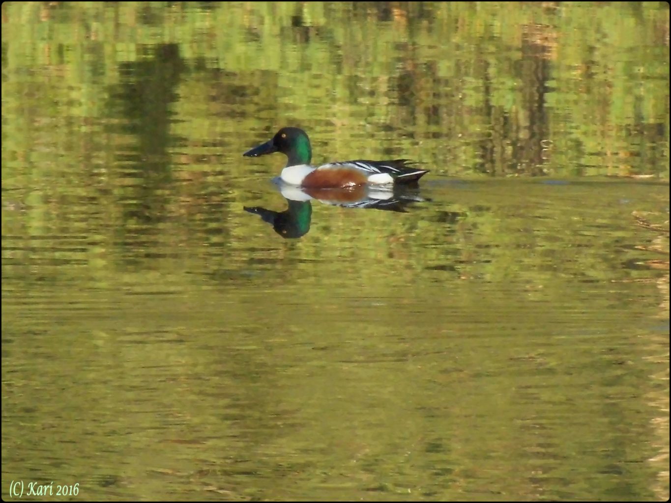 Valokuvaaja: Kari Saarinen