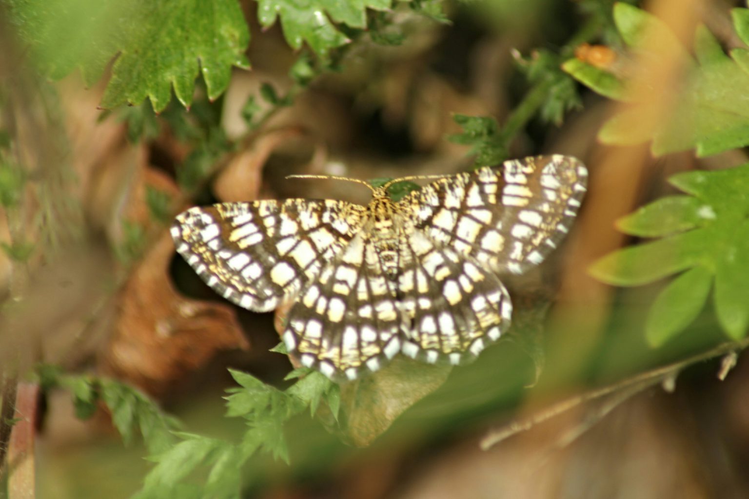 Valokuvaaja: Miia Pesu