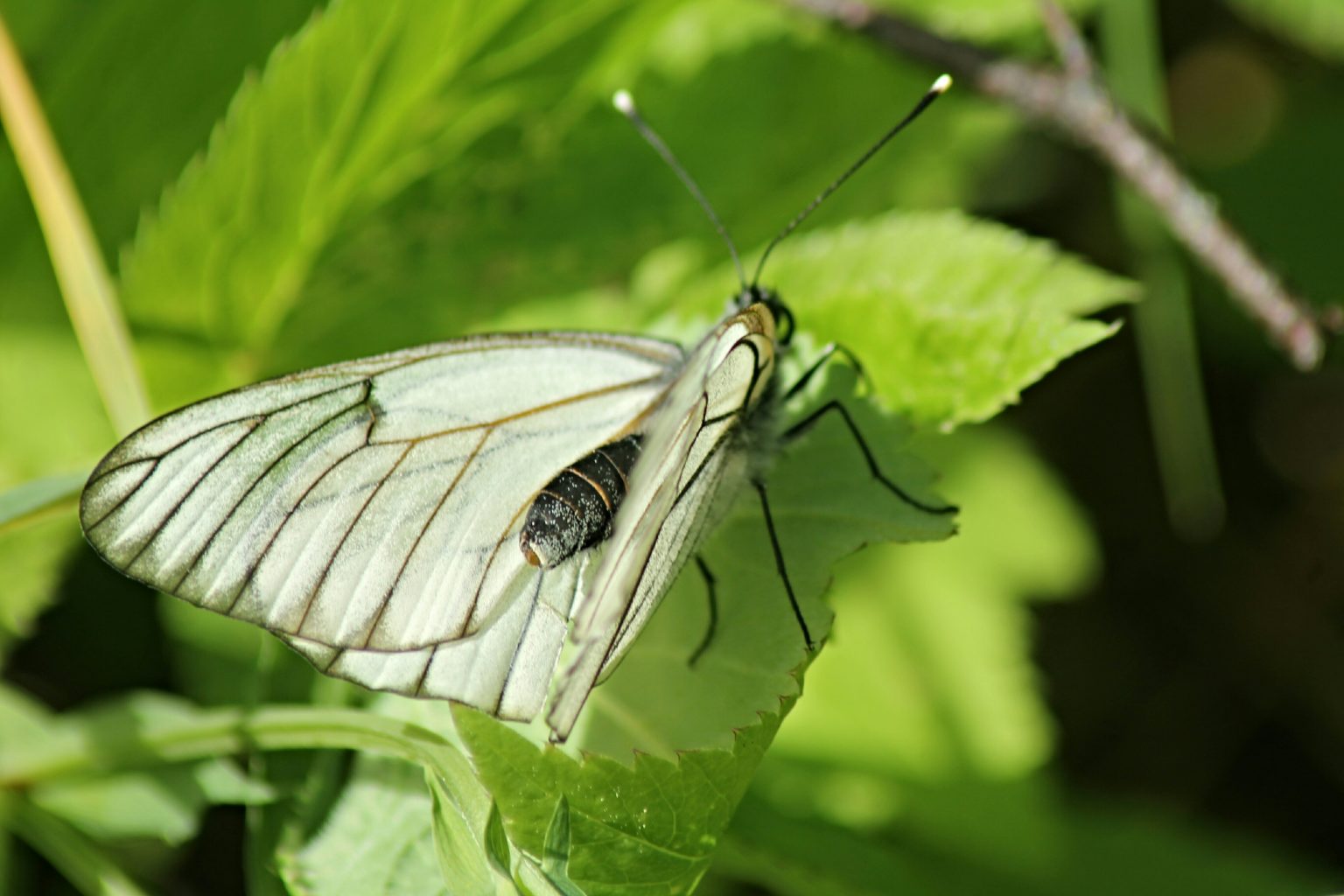 Valokuvaaja: Miia Pesu Valokuvaaja: Miia Pesu