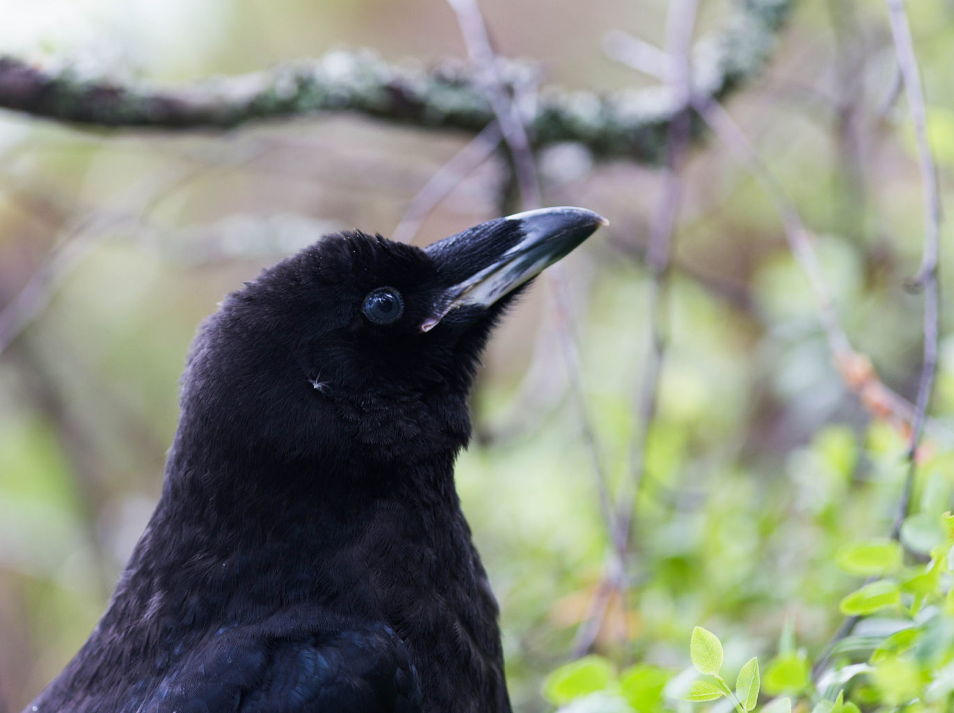 Valokuvaaja: Irma Kortekallio