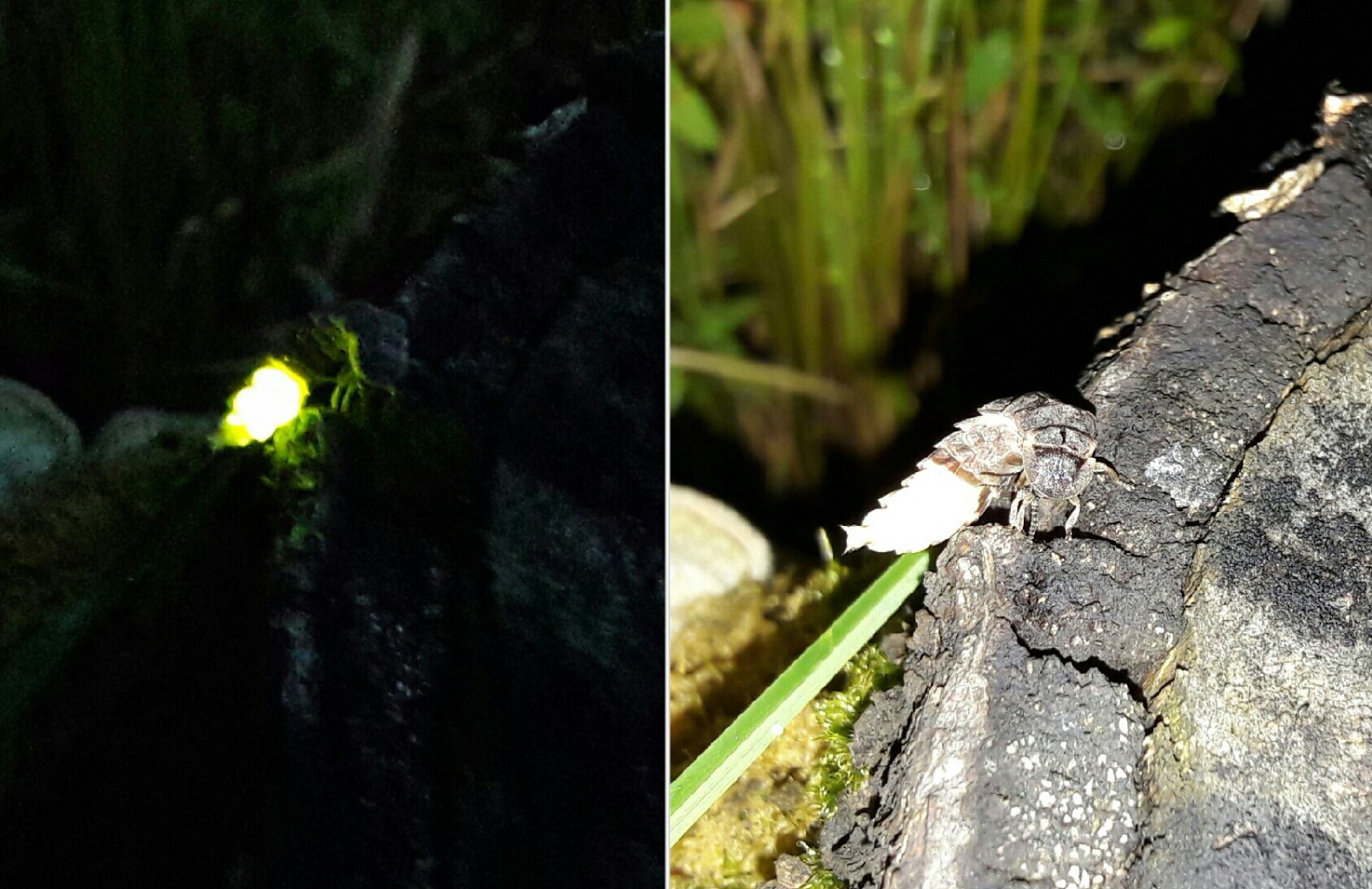 Valokuvaaja: Tuula  Makkonen