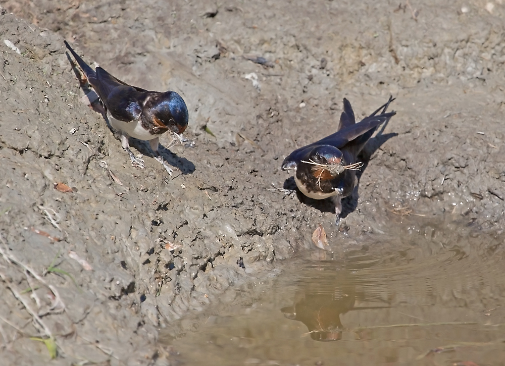 Valokuvaaja: Anna-Liisa Pirhonen Valokuvaaja: Anna-Liisa Pirhonen