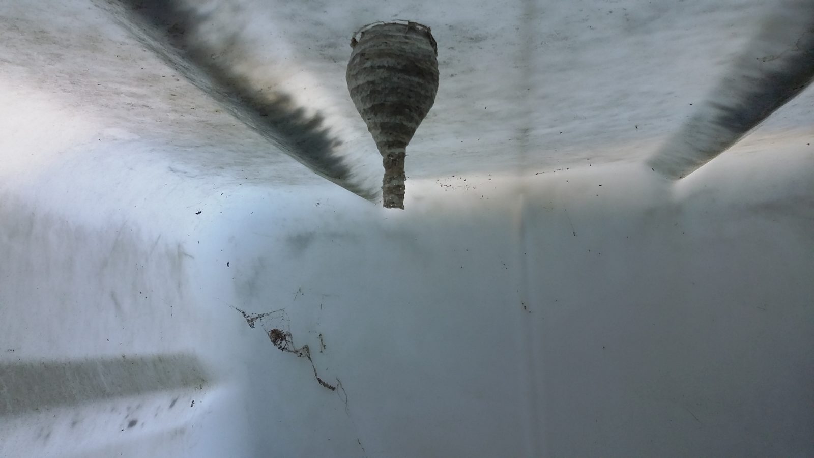 Valokuvaaja: vikki vähä-aho Valokuvaaja: vikki vähä-aho