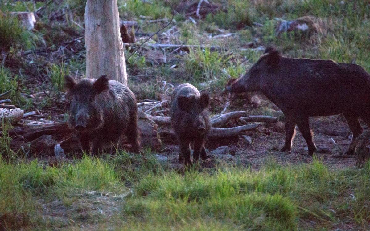 Valokuvaaja: Anna-Liisa Pirhonen