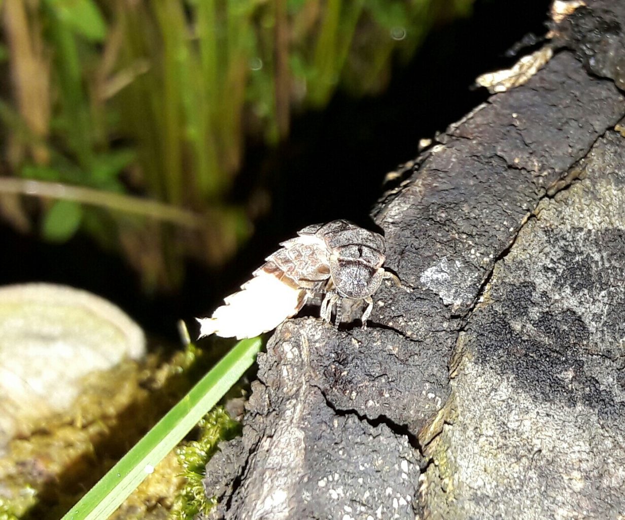 Valokuvaaja: TUULA Makkonen