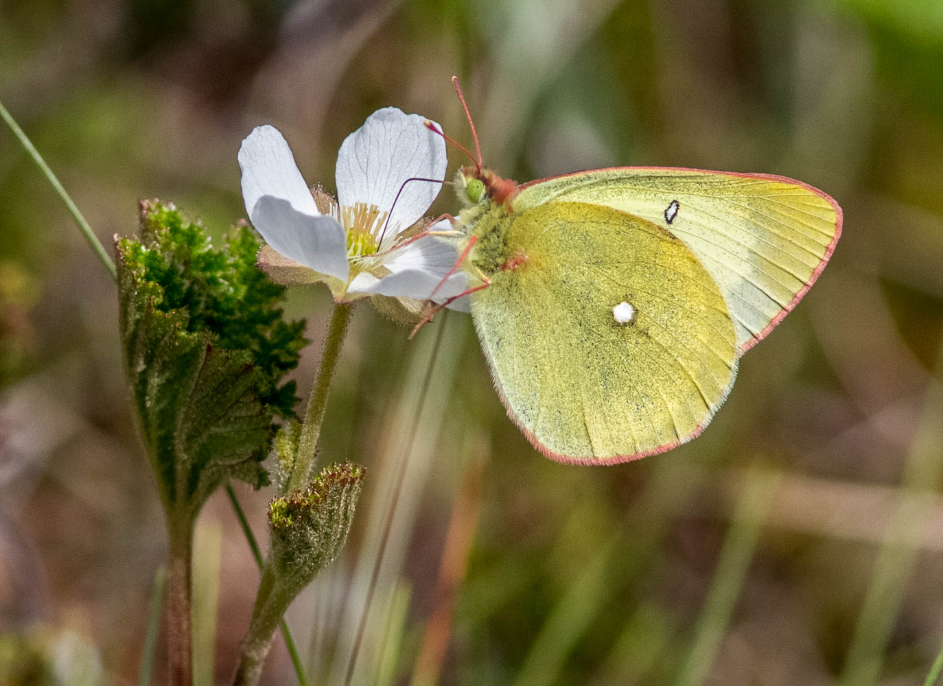Valokuvaaja: Markku Salonen Valokuvaaja: Markku Salonen