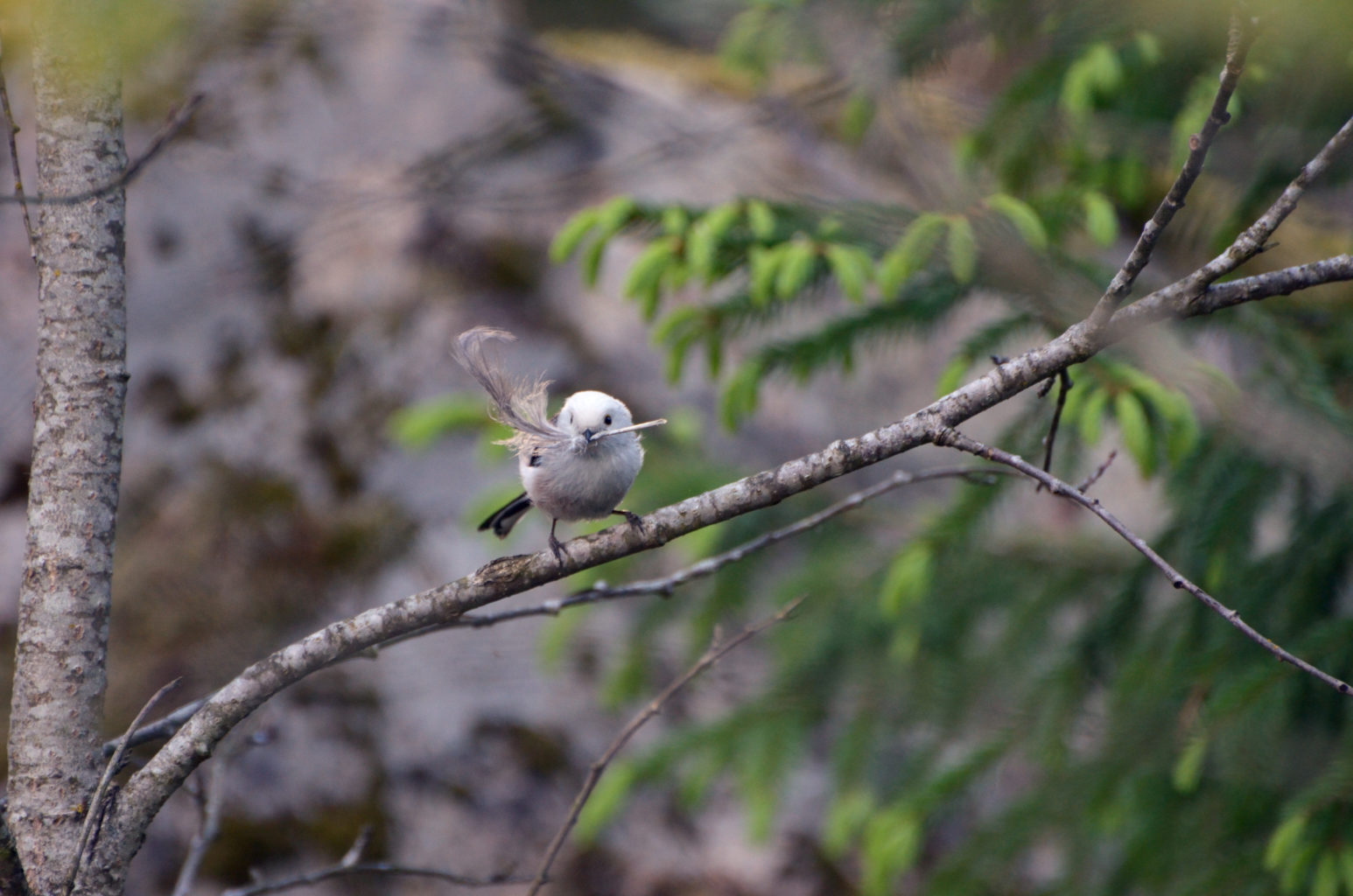 Valokuvaaja: Joni Sundström