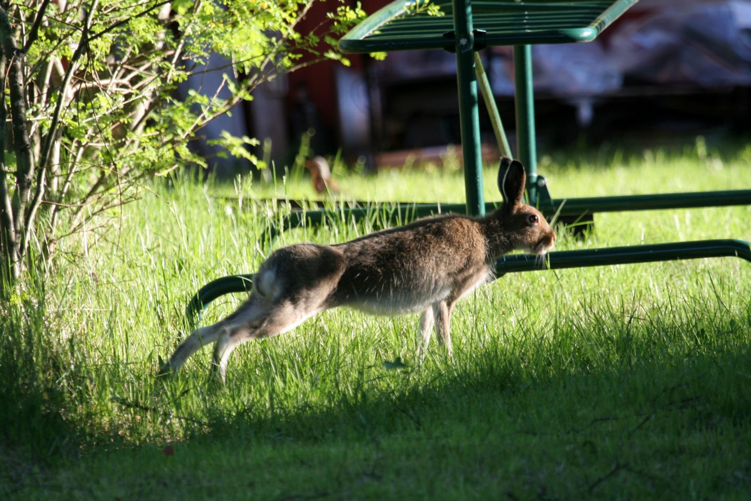 Valokuvaaja: Pirkko Siukonen