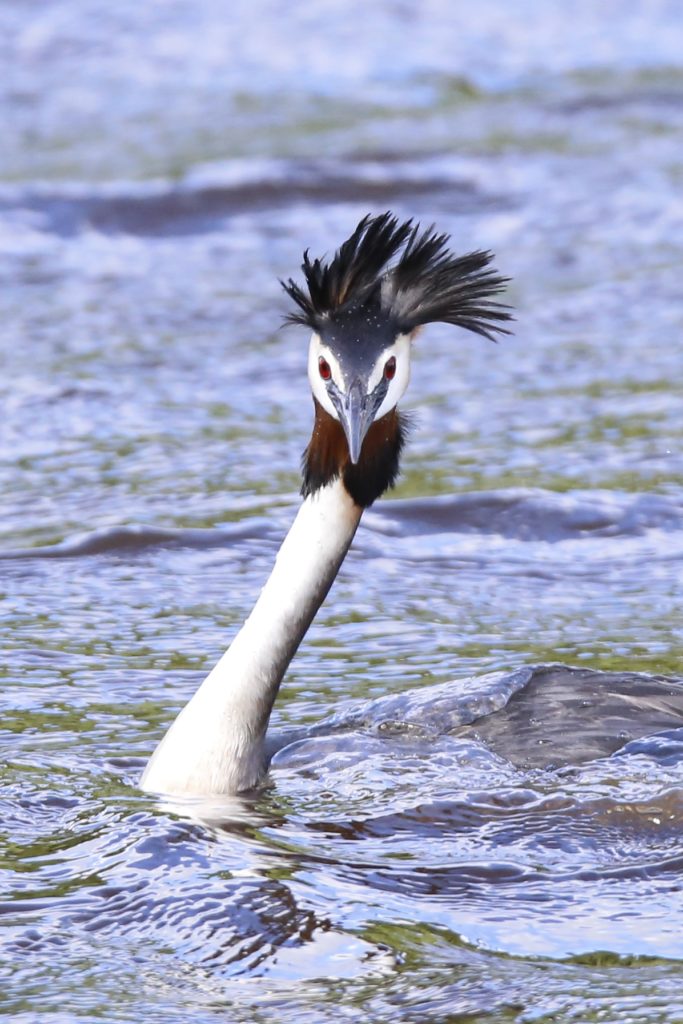 Valokuvaaja: Anne Moilanen