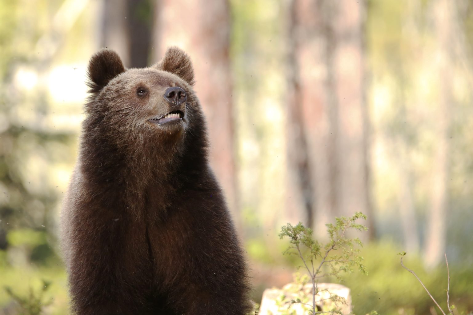 Valokuvaaja: Anne Moilanen