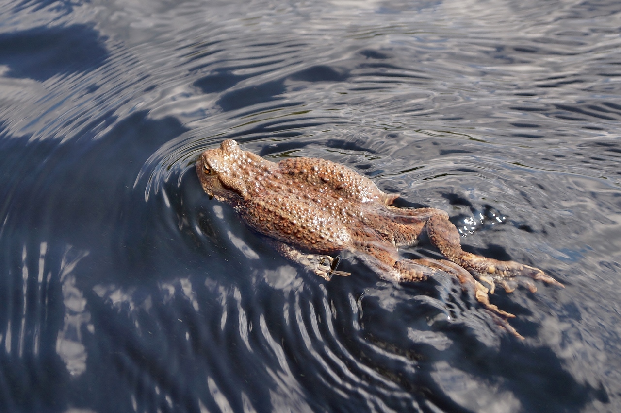 Valokuvaaja: Maarit Siitonen