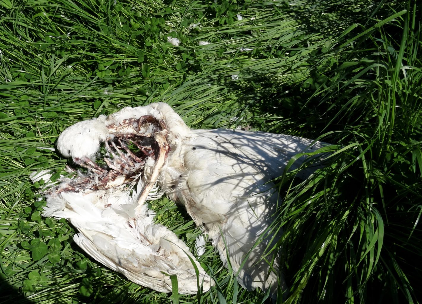 Valokuvaaja: Liisa Niiva-Korpela Valokuvaaja: Liisa Niiva-Korpela