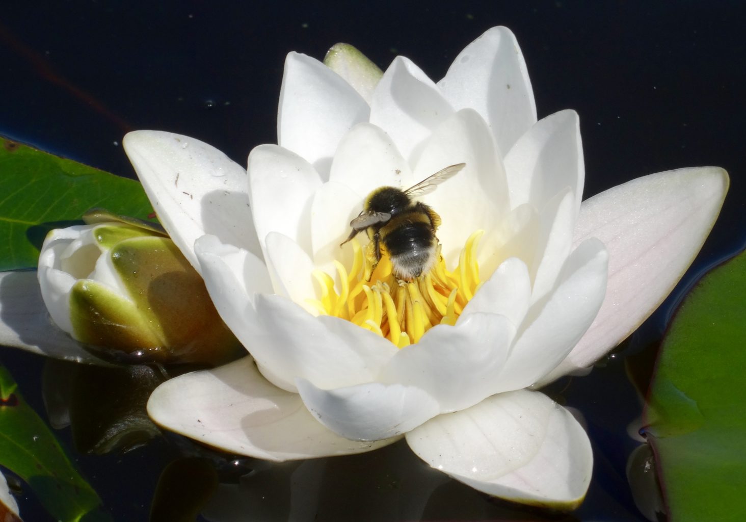 Valokuvaaja: Liisa Niiva-Korpela