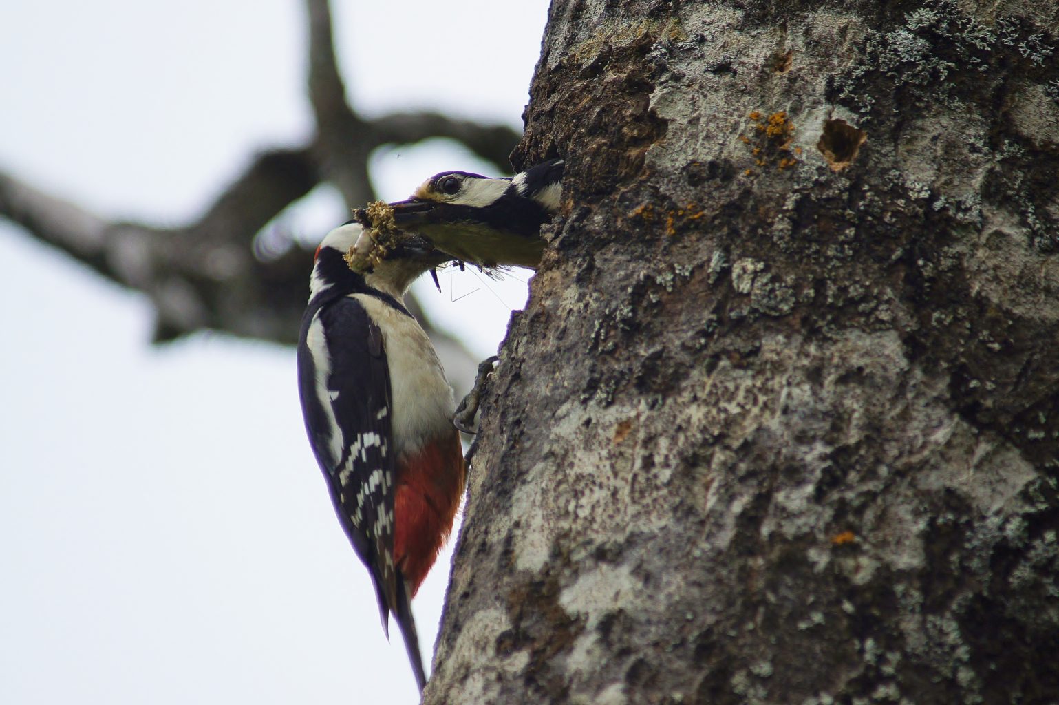 Valokuvaaja: Tuulikki Piikkilä