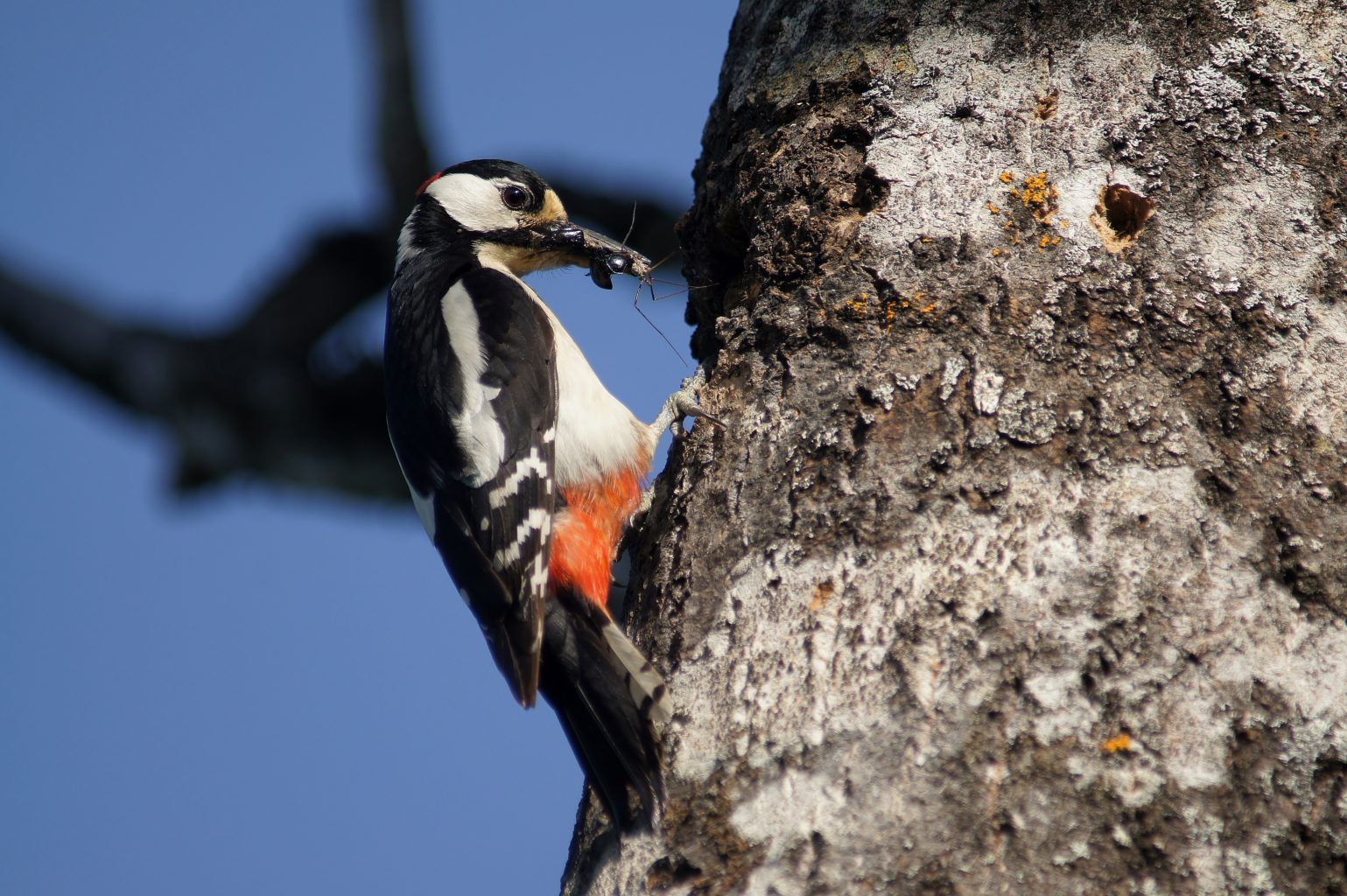 Valokuvaaja: Tuulikki Piikkilä
