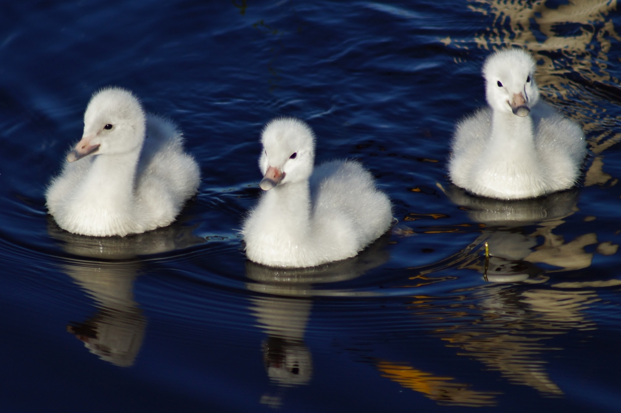 Valokuvaaja: Maarit Siitonen