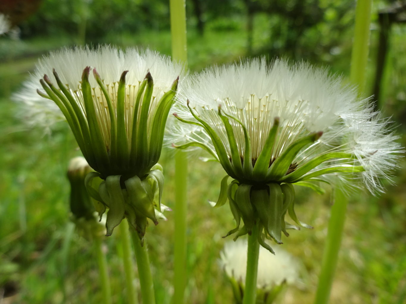 Valokuvaaja: Anja Mustamaa