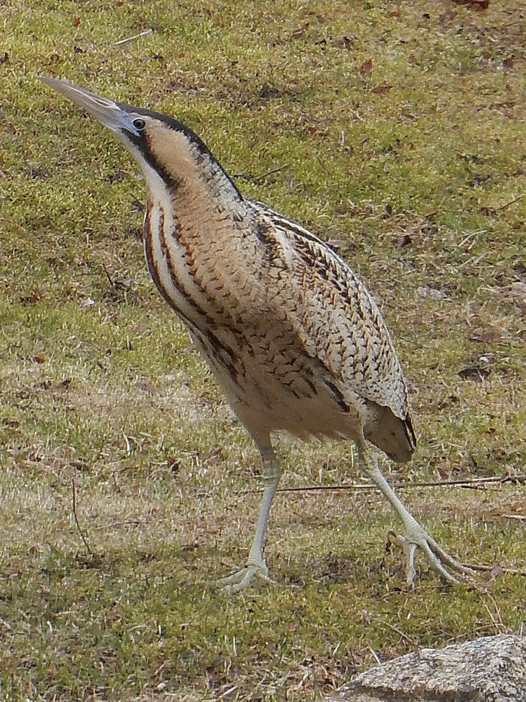 Valokuvaaja: Anja Santalahti