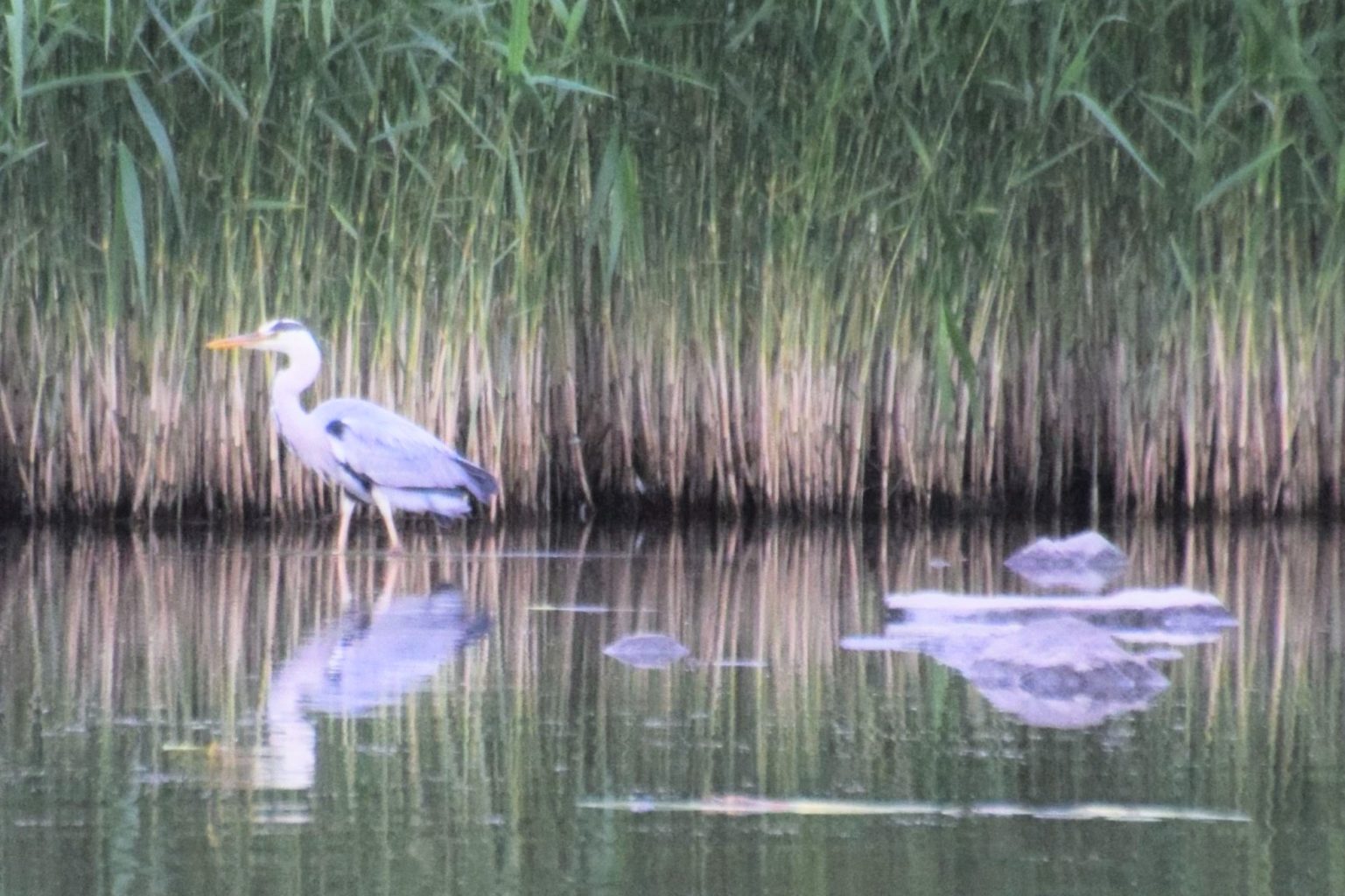 Valokuvaaja: Ulla Räsänen Valokuvaaja: Ulla Räsänen