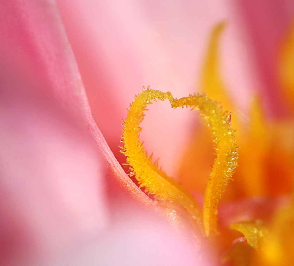 Valokuvaaja: Tarja Porkkala