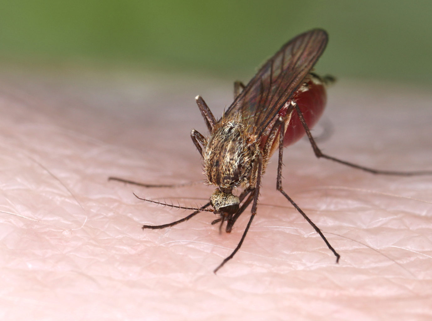 Valokuvaaja: Tarja Porkkala