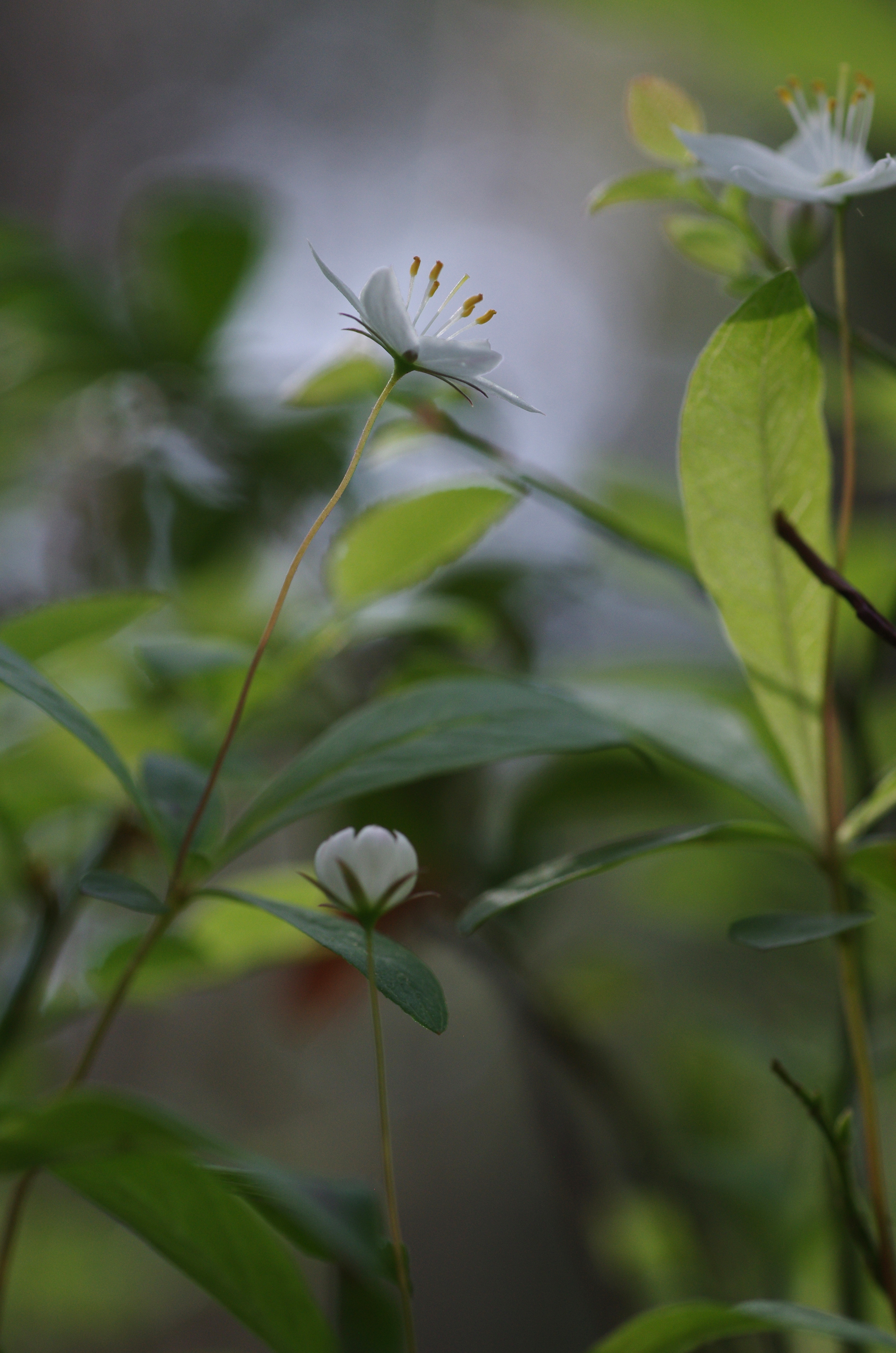 Valokuvaaja: Alli Kälkäjä-Hannus