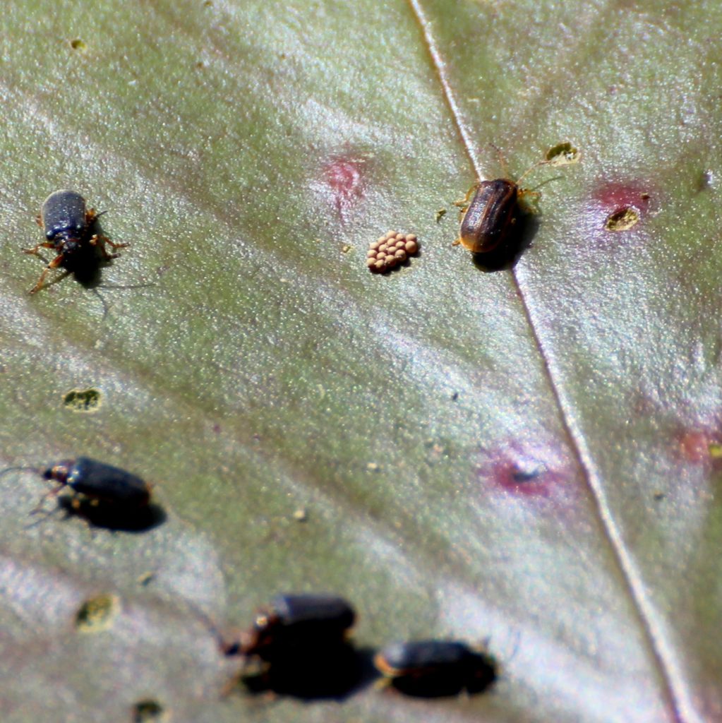 Valokuvaaja: Irja Lehtinen