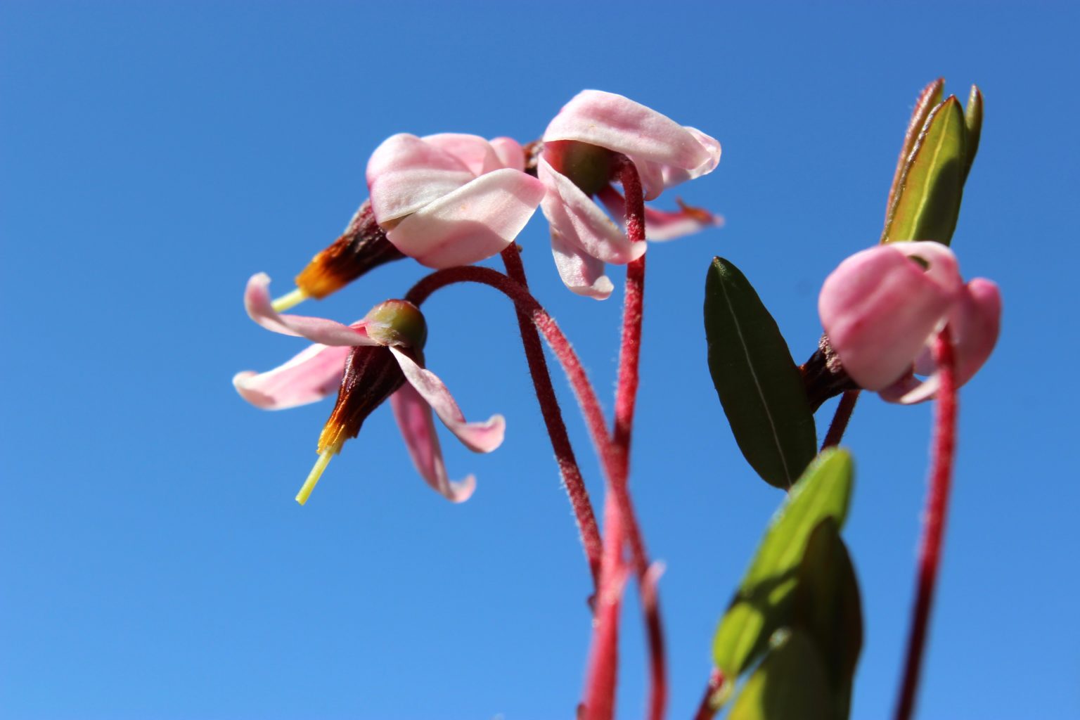 Valokuvaaja: Irja Lehtinen