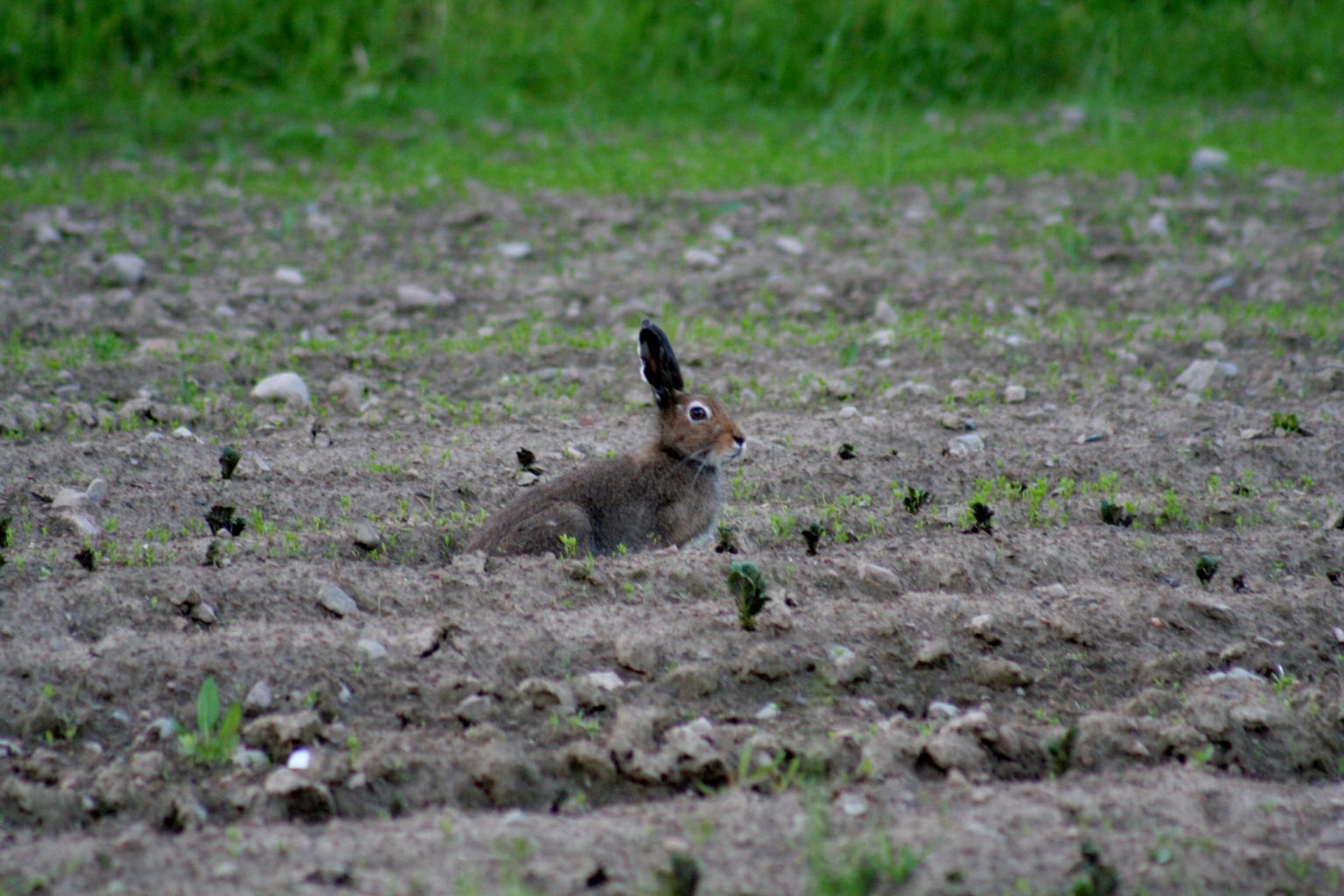 Valokuvaaja: Pirkko Siukonen