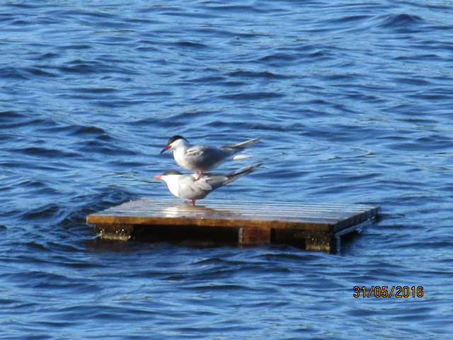 Valokuvaaja: TUULA Makkonen