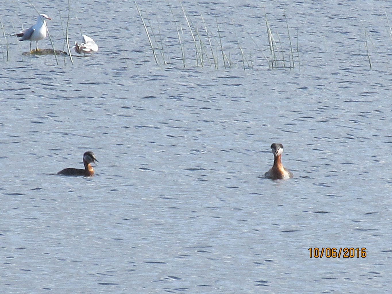 Valokuvaaja: Tuula Makkonen Valokuvaaja: Tuula Makkonen