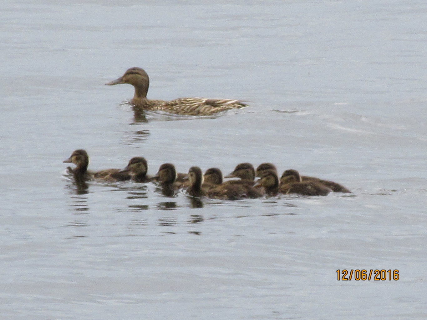 Valokuvaaja: Tuula Makkonen