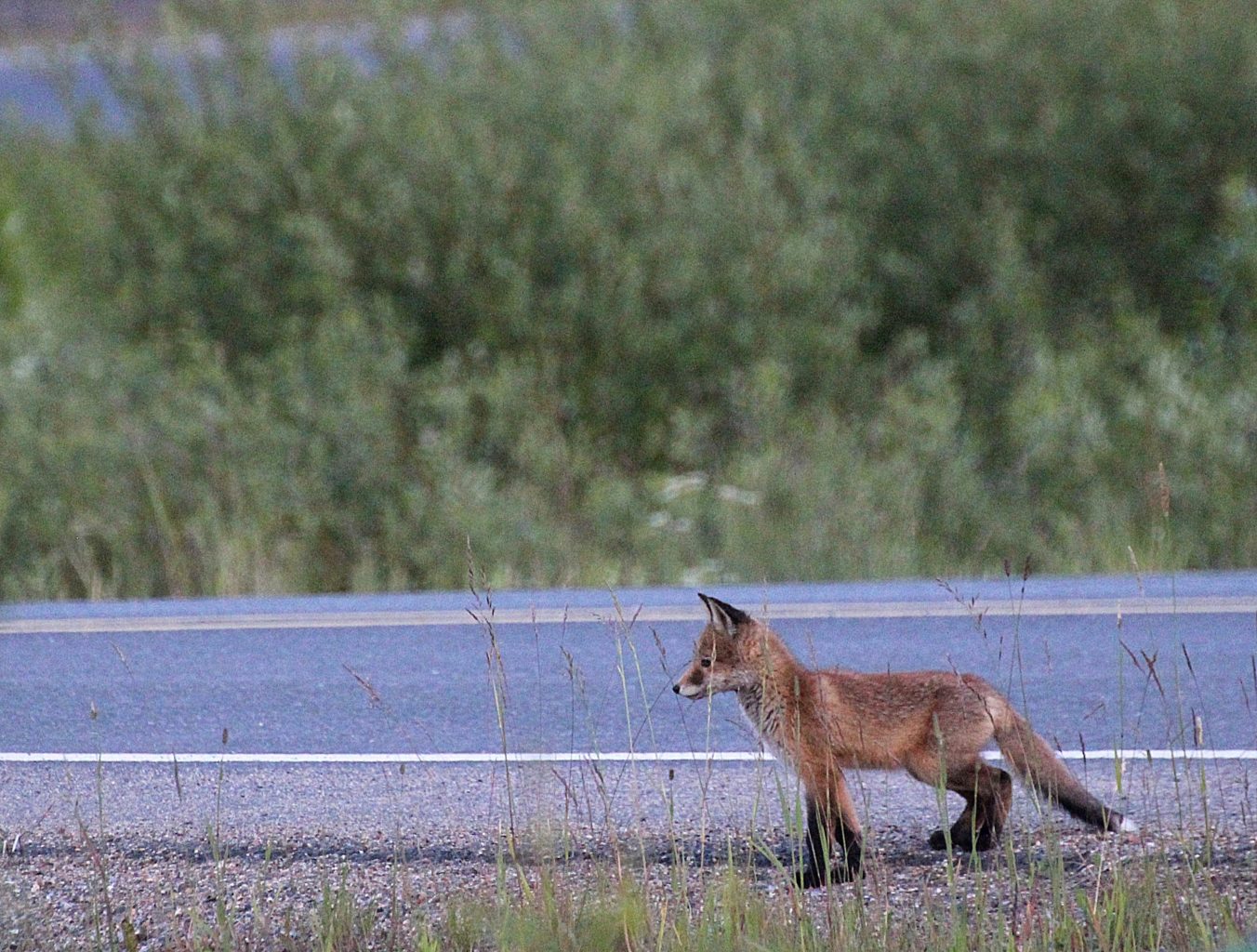 Valokuvaaja: Irja Lehtinen