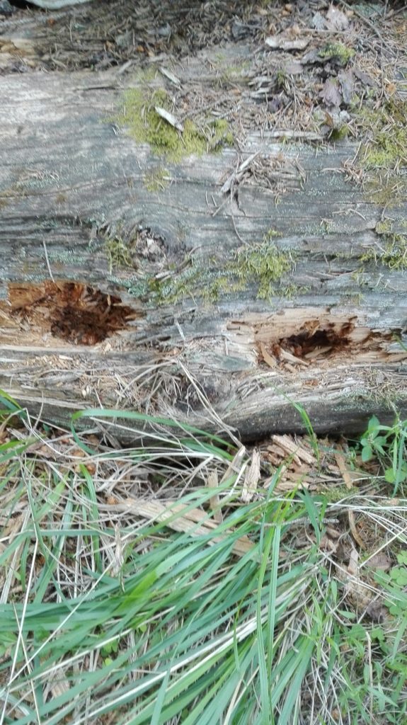 Valokuvaaja: Vikki Vähä-aho