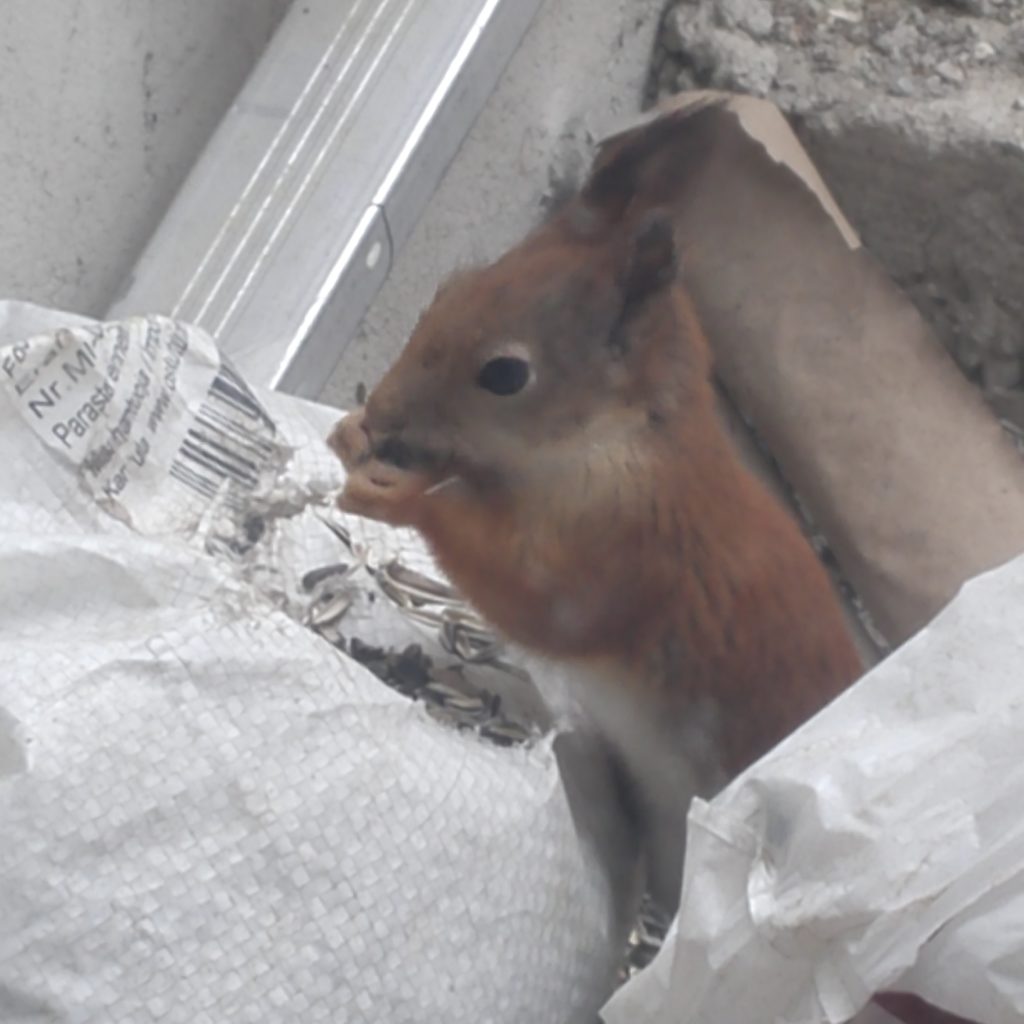 Valokuvaaja: Sari Viemerö